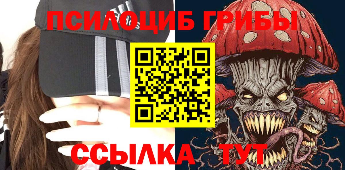 Псилоцибиновые грибы мицелий  Вход с VPN  Камышлов 